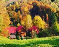 Teremok Guest House - B&B