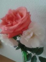 Apartment mit 1 Schlafzimmer und Balkon