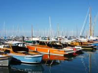 Arcachon - Superbe T3 avec terrasse, piscine et parking sécurisé - 6 personnes - Chambres d'hôtes Arcachon