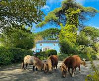 B&B St. Austell - Bay View Cottage - Bed and Breakfast St. Austell