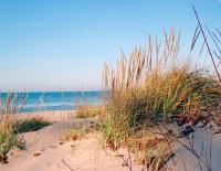 Modern New Build 2BR 2BA Condo w Garage and Patio - Bed and Breakfast Wyoming