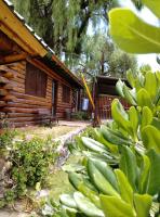 Bungalow (8 Adults)
