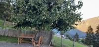 Appartement CHENILLE charmant 2 pièces plein pied avec jardin et vue magnifique - B&B