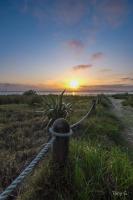 Stanmore Bay Beachfront Cottage - Ferienwohnung