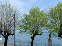 Casa Rino: Vacanze in casetta...... - Ferienwohnung Dongo