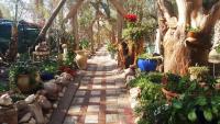 ערבה גארדן Arava Garden - B&B