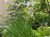 3 p 47m2 au pied de Montmartre - B&B Parigi