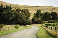 Russell's Cabins - B&B Omihi