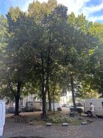 Przytulna kawalerka z antresolą w sercu Gdańska - B&B Gdansk