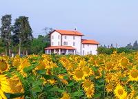 B&B Crespellano - La collinetta B&B - Bed and Breakfast Crespellano