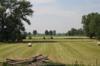 Familienzimmer mit Gartenblick