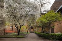 Brivibas Yard Apartment With Parking In City Center - Chambres d'hôtes Riga