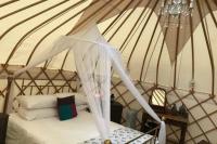 B&B Michaelchurch Escley - Luxury Yurts - Bed and Breakfast Michaelchurch Escley