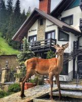 Pensiunea Poiana Izvoarelor - B&B Vatra Dornei