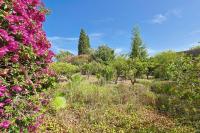 Maison de Maître Centre Ville - Ferienwohnung Hyères