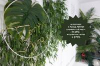 *Tiny Jungle* / Plage, port et commerces à pied - Ferienwohnung Sausset-les-Pins