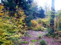 Appartement confortable Pouxeux / 70 m² / superbe jardin - Ferienwohnung Pouxeux