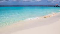 Isla penthouse & garden apartments Bonaire - B&B Kralendijk