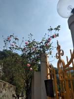 CasarinoLaurino Valle Del Golfo Healthy Air Above The Sea - Bed and Breakfast