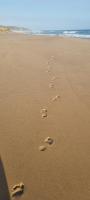 The Barefoot Cottage - B&B Mossel Bay