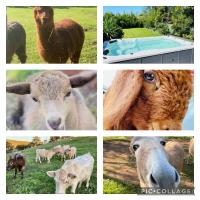 Sandalwood Downs Fabulous Farm Stay TOODYAY - B&B Toodyay