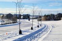 Brand New Executive Suite - B&B Calgary