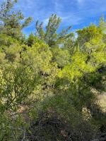 Lemnos Urban Escape - Ferienwohnung Myrina