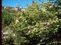 Ampia Camera Matrimoniale