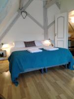 B&B Le Mans - Appartement Henri II - Bed and Breakfast Le Mans