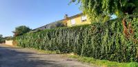 Ma maison fleurie proche AEROPORT LYON ST EXUPERY, LDLC ARENA, Groupama Stadium,Eurexpo - Bed and Breakfast