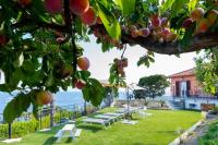 B&B Sanremo - Villa Matilde - Bed and Breakfast Sanremo