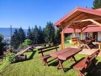 Vila Starcevic - Bed and Breakfast Pale