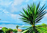 Sous les Tropiques…Vue mer - B&B