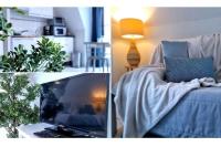 Le Saint-Gildas - parking privé - Belle Isle - Bed and Breakfast