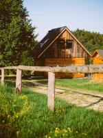 Przewietrzona Głowa - B&B Ponikwa