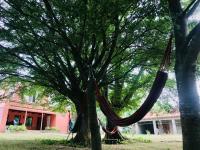 Zemarani Winery - B&B