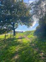 Deluxe Suite mit Kingsize-Bett