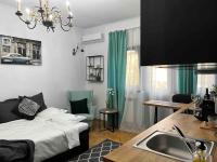 B&B Boekarest - Studio Villa Floreasca - Bed and Breakfast Boekarest