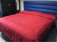 Estudio con cama extragrande y sofá cama