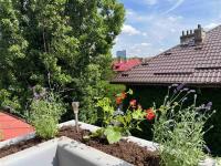 Loft Villa Floreasca - Ferienwohnung Bukarest