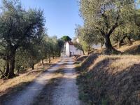 B&B Borgo a Buggiano - Da Poldino - Bed and Breakfast Borgo a Buggiano