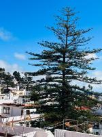 Teror Centro 2 - B&B Teror