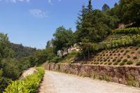 Douro Green - B&B Castelo de Paiva
