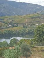 CasaMaeDouro1 - Ferienwohnung Peso da Régua