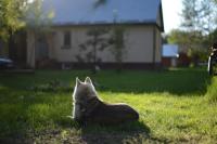 Odpocznij - B&B Dąbrówka