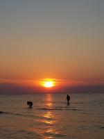 Strandstrasse 21 Fewo 06 - Bed and Breakfast Trassenheide