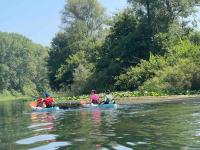 Skadar lake house Bobija - B&B Podgorica