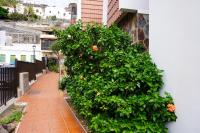 Beach Breeze, Playa Santiago - B&B Playa de Santiago