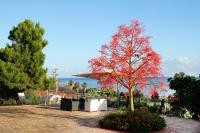 Oasi Della Natura with pool by Local House - B&B Caronia