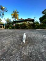 Choorimotte Homestay - Chambres d'hôtes Srimangala